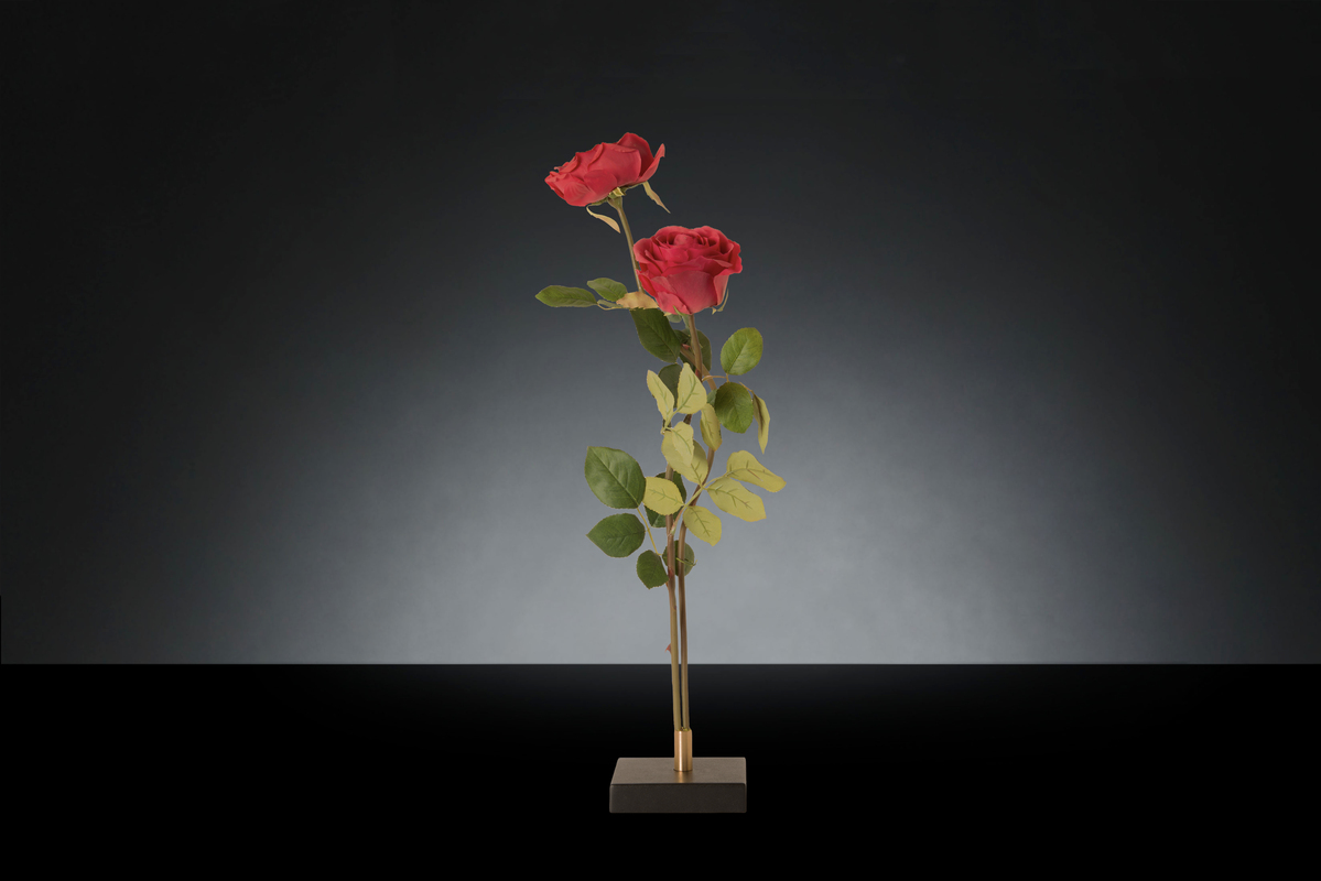1700218408-1142889.96 SINGLE ROSE GIULIA FUXIA_2LOW